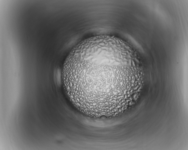 X0000115520022200911131454