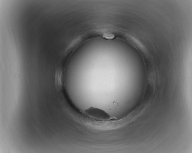 X0000115520023200911131454