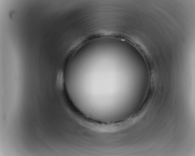 X0000115520024200911131454