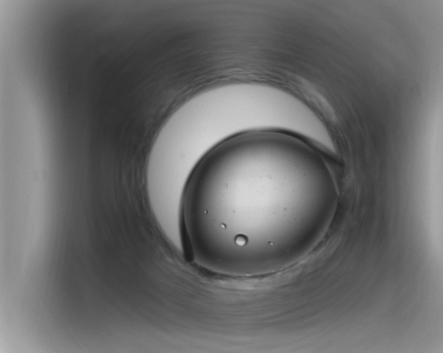 X0000115520025200911131454