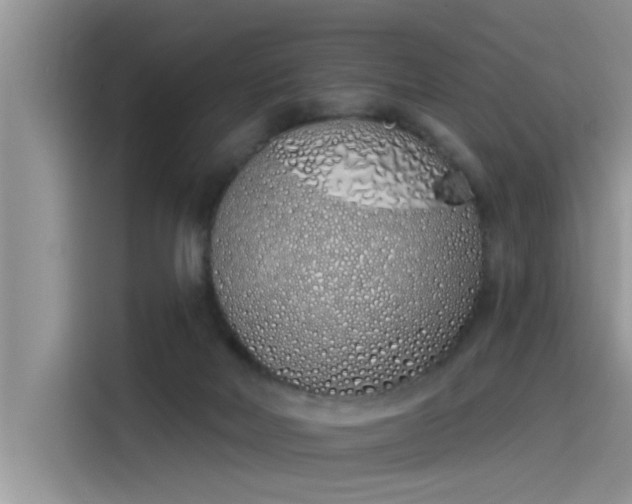 X0000115520026200911131454