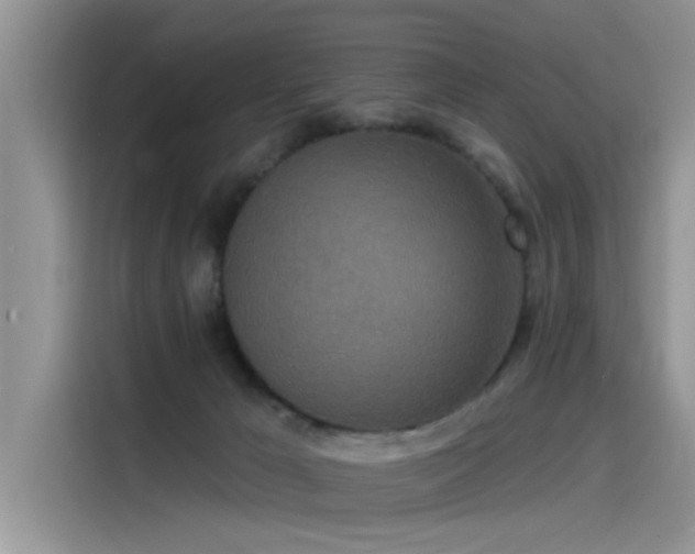 X0000115520029200911131454