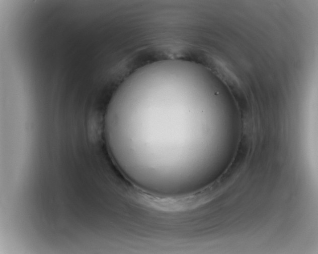 X0000115520030200911131454