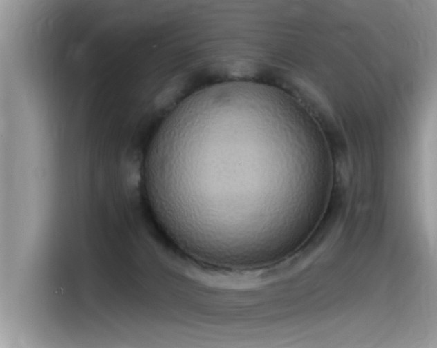 X0000115520032200911131454