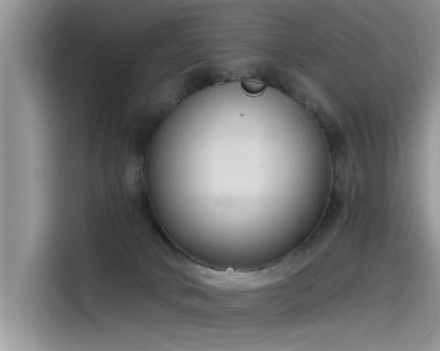 X0000115520034200911131454