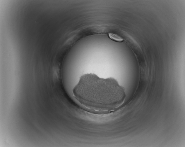 X0000115520035200911131454