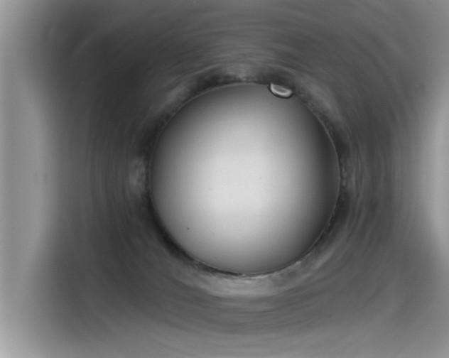 X0000115520036200911131454