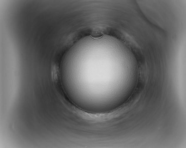 X0000115520038200911131454