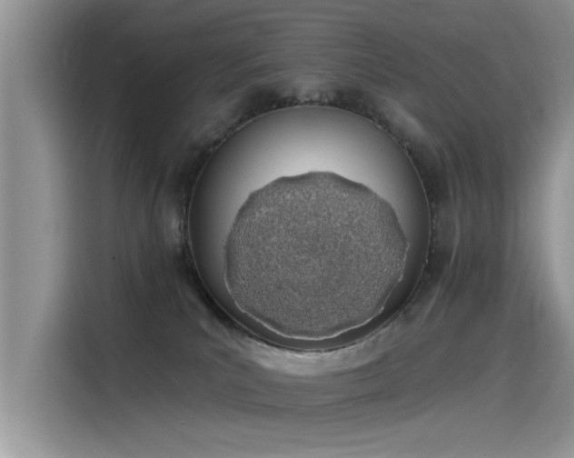 X0000115520039200911131454