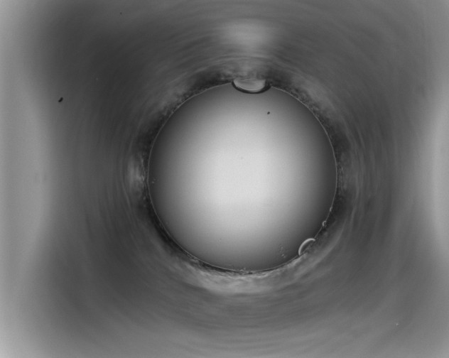 X0000115520040200911131454