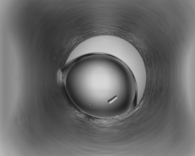 X0000115520041200911131454