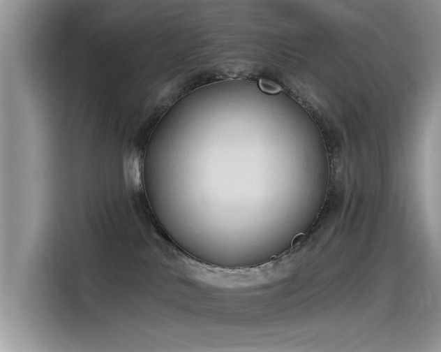 X0000115520042200911131454