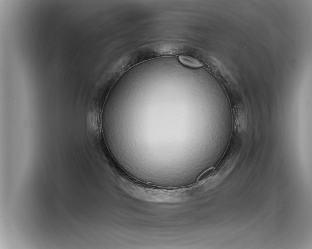 X0000115520044200911131454