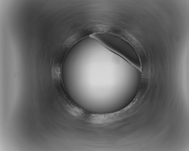 X0000115520045200911131454