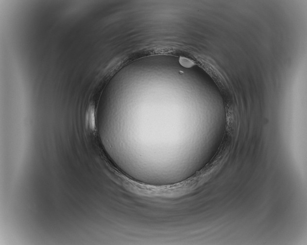 X0000115520046200911131454