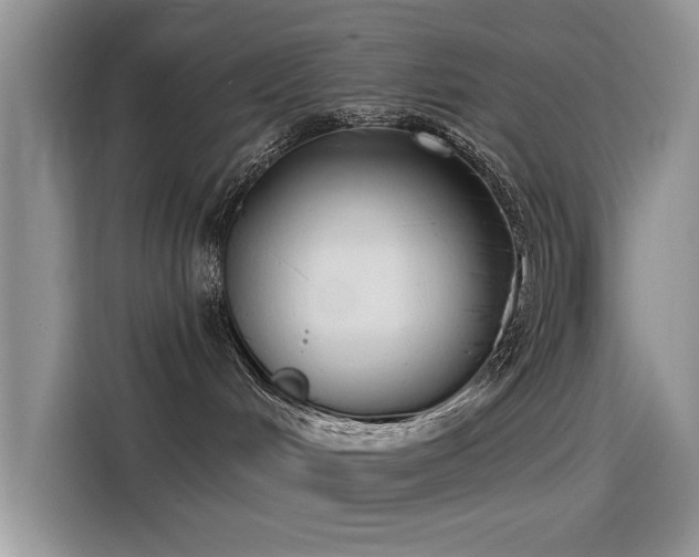 X0000115520048200911131454