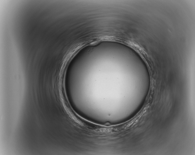 X0000115520049200911131453