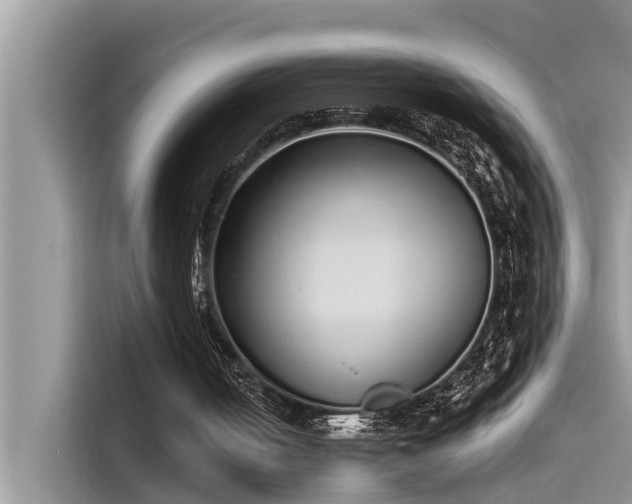 X0000115520050200911131453