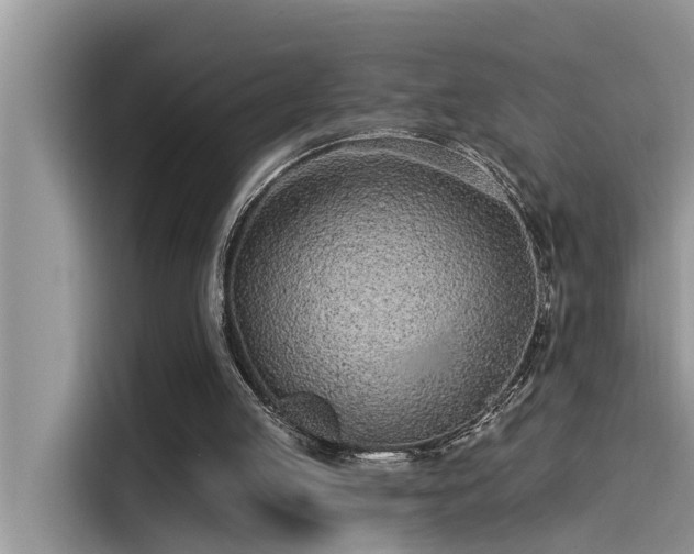 X0000115520053200911131453