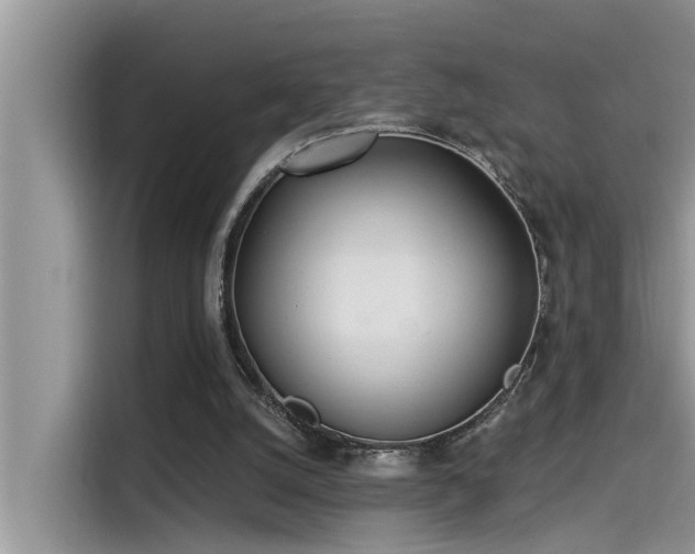 X0000115520056200911131453