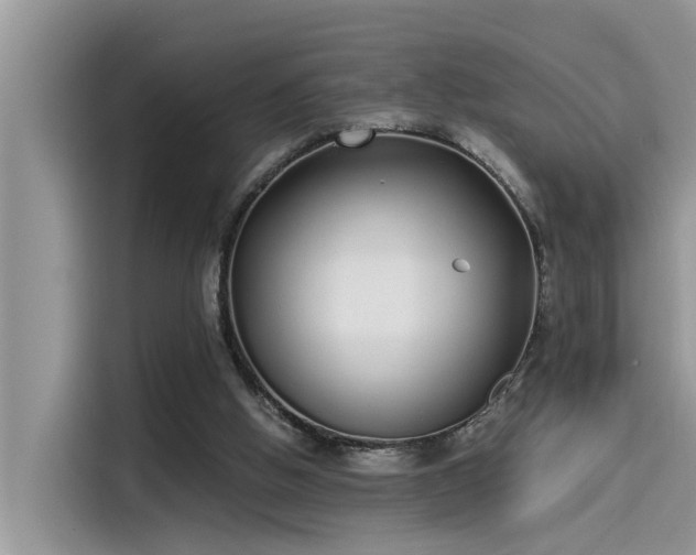 X0000115520058200911131453