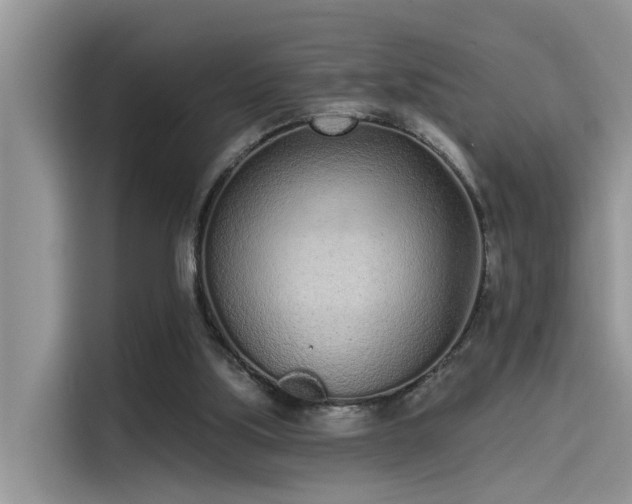 X0000115520059200911131453