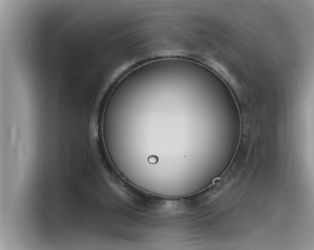 X0000115520060200911131453