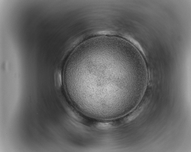 X0000115520061200911131453