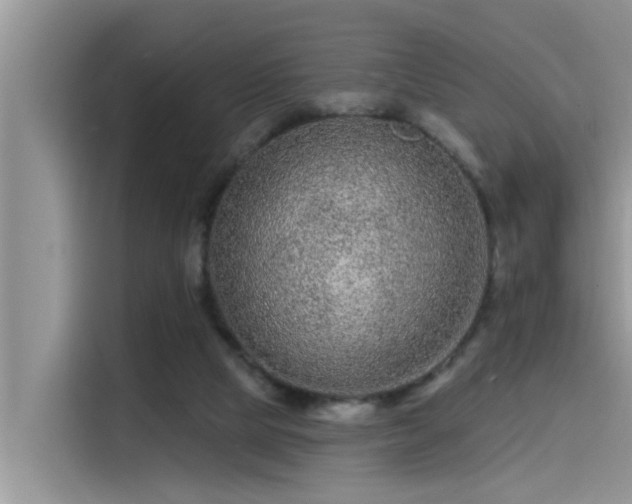 X0000115520065200911131453