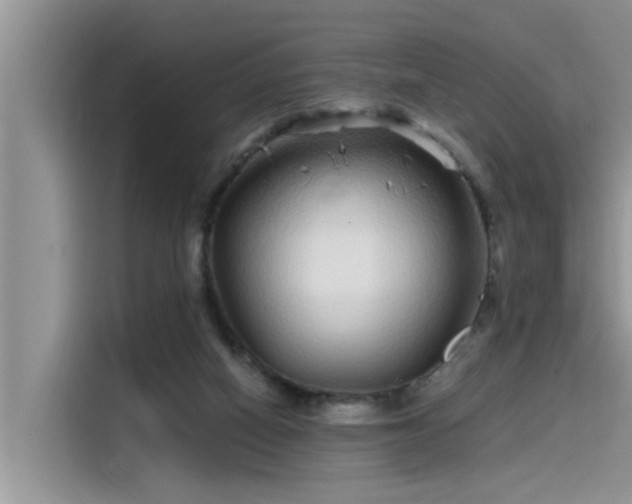 X0000115520066200911131453