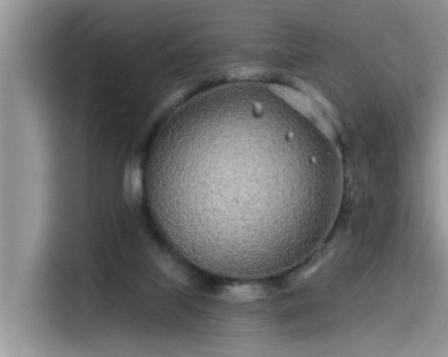 X0000115520067200911131453