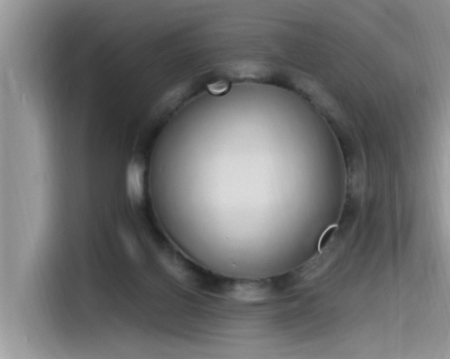 X0000115520070200911131453