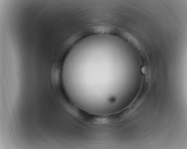 X0000115520071200911131454