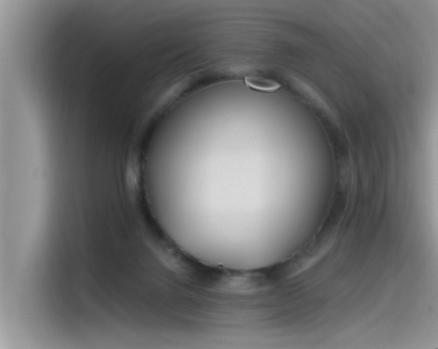 X0000115520072200911131454