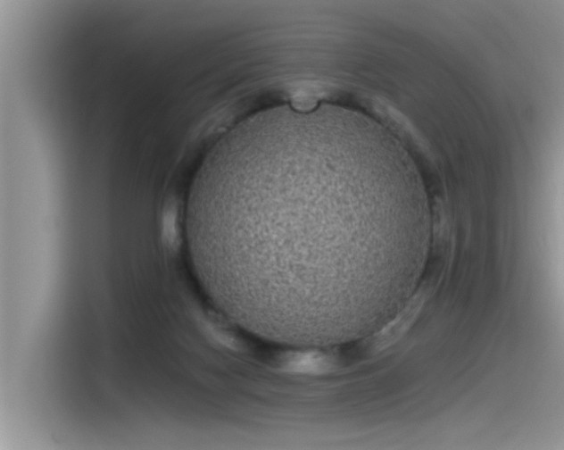 X0000115520074200911131454