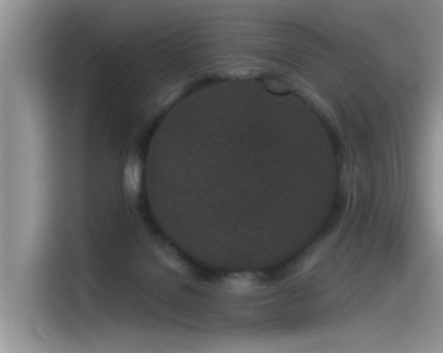 X0000115520076200911131454