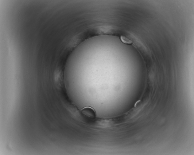 X0000115520079200911131454