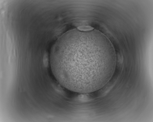 X0000115520080200911131454