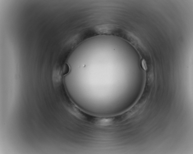 X0000115520081200911131454