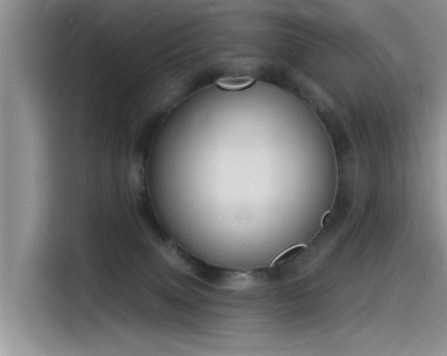 X0000115520083200911131454