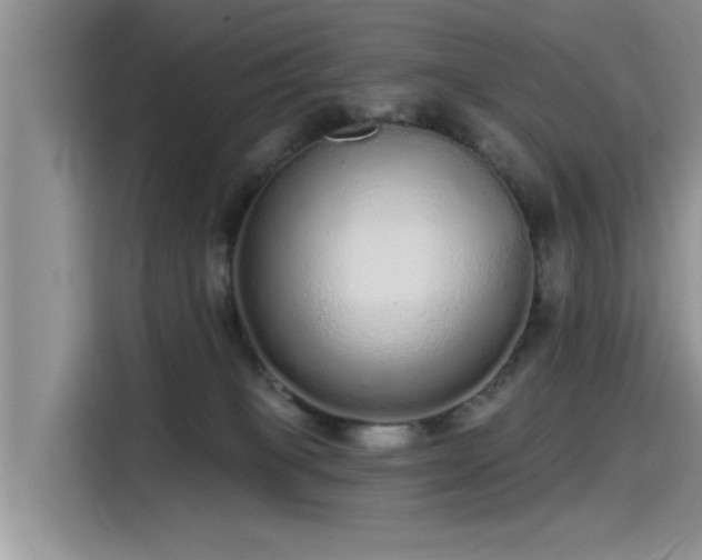 X0000115520085200911131454