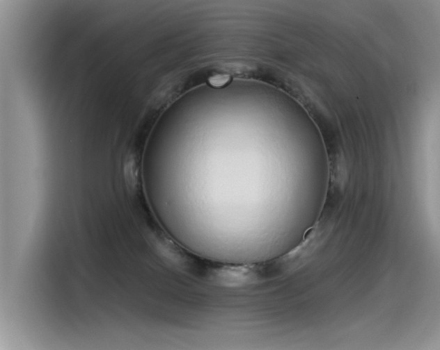 X0000115520086200911131454