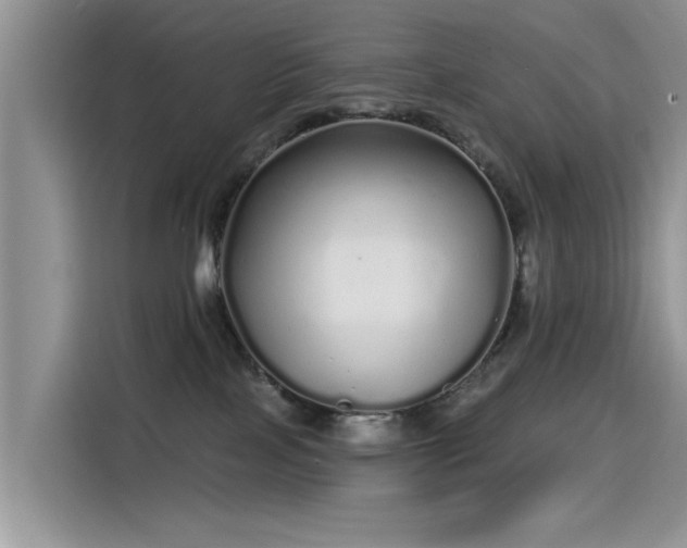 X0000115520089200911131454