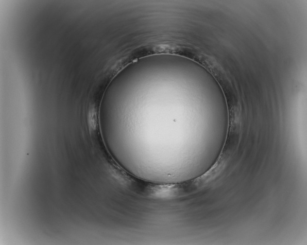 X0000115520090200911131454