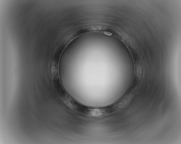 X0000115520091200911131454