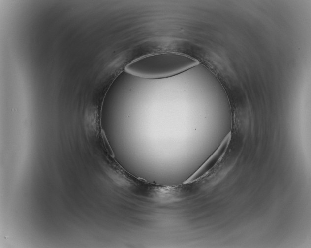 X0000115520092200911131454