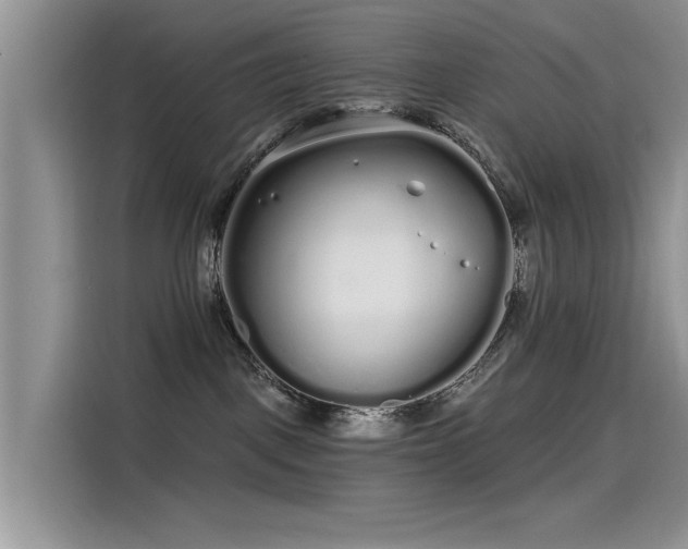 X0000115520093200911131454