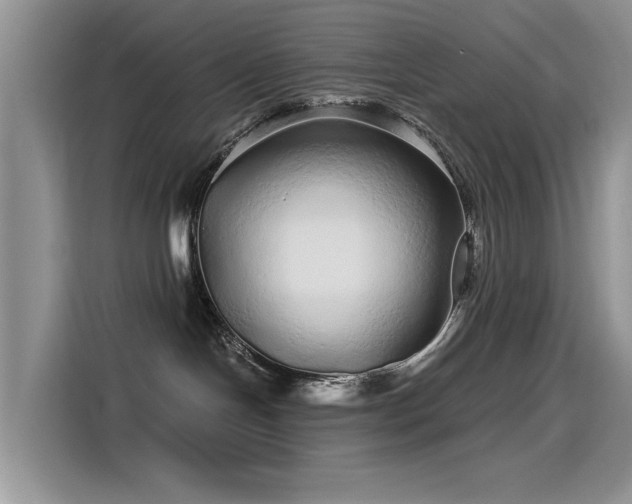 X0000115520094200911131454