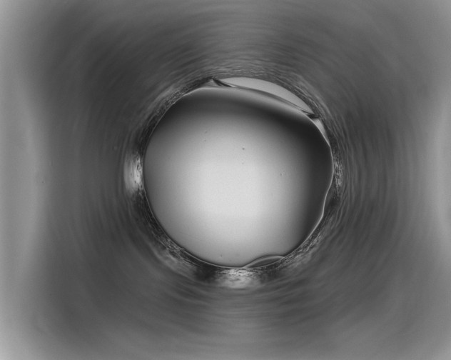 X0000115520095200911131454