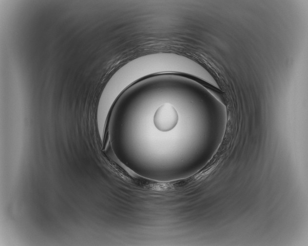 X0000115520096200911131454